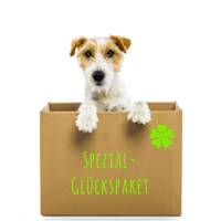 BARF Spezial Glückspaket für Hunde - Bunter Mix an bestem FrostFutter